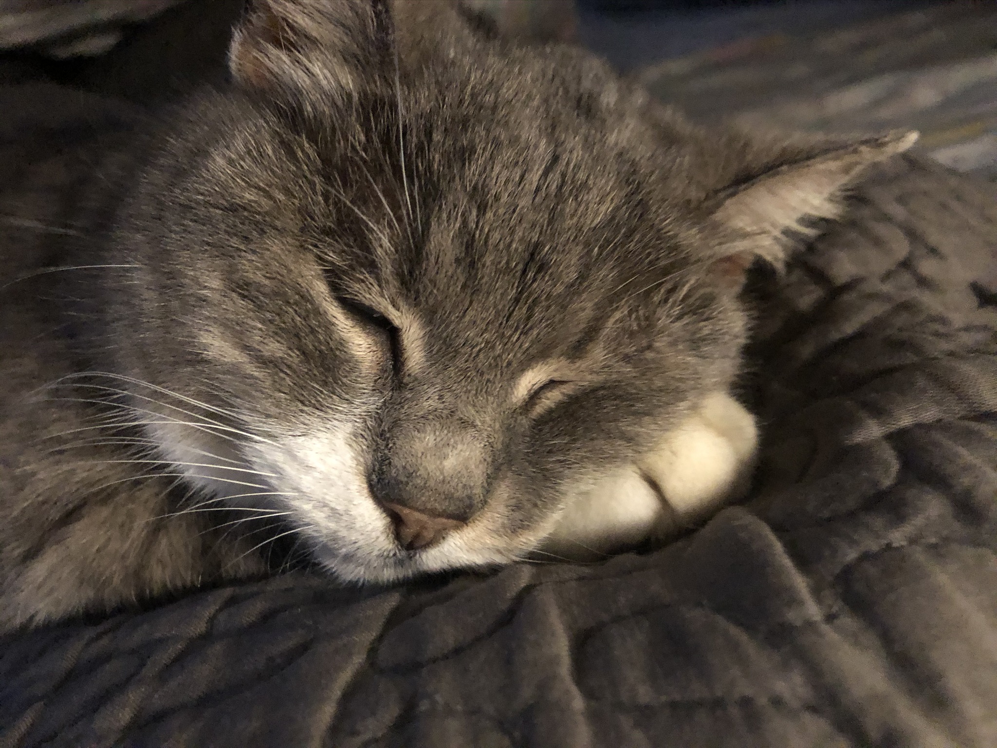 Puntogray

Puntogray Shop

Home

Benvenuto in Puntogray