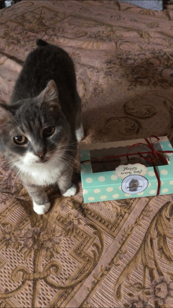 tortine
Gray che fa la modella
Dolci di miss gray