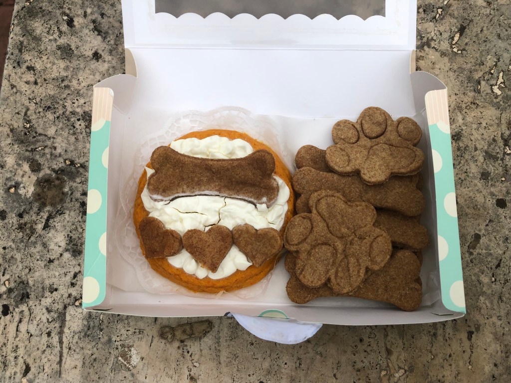 torta per cane e gatto
biscotti a forma di ossa e zampa
Dolci di Miss Gray