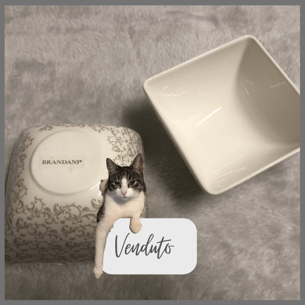 articoli per casa
Emporio di Miss Anita
Puntogray Shop