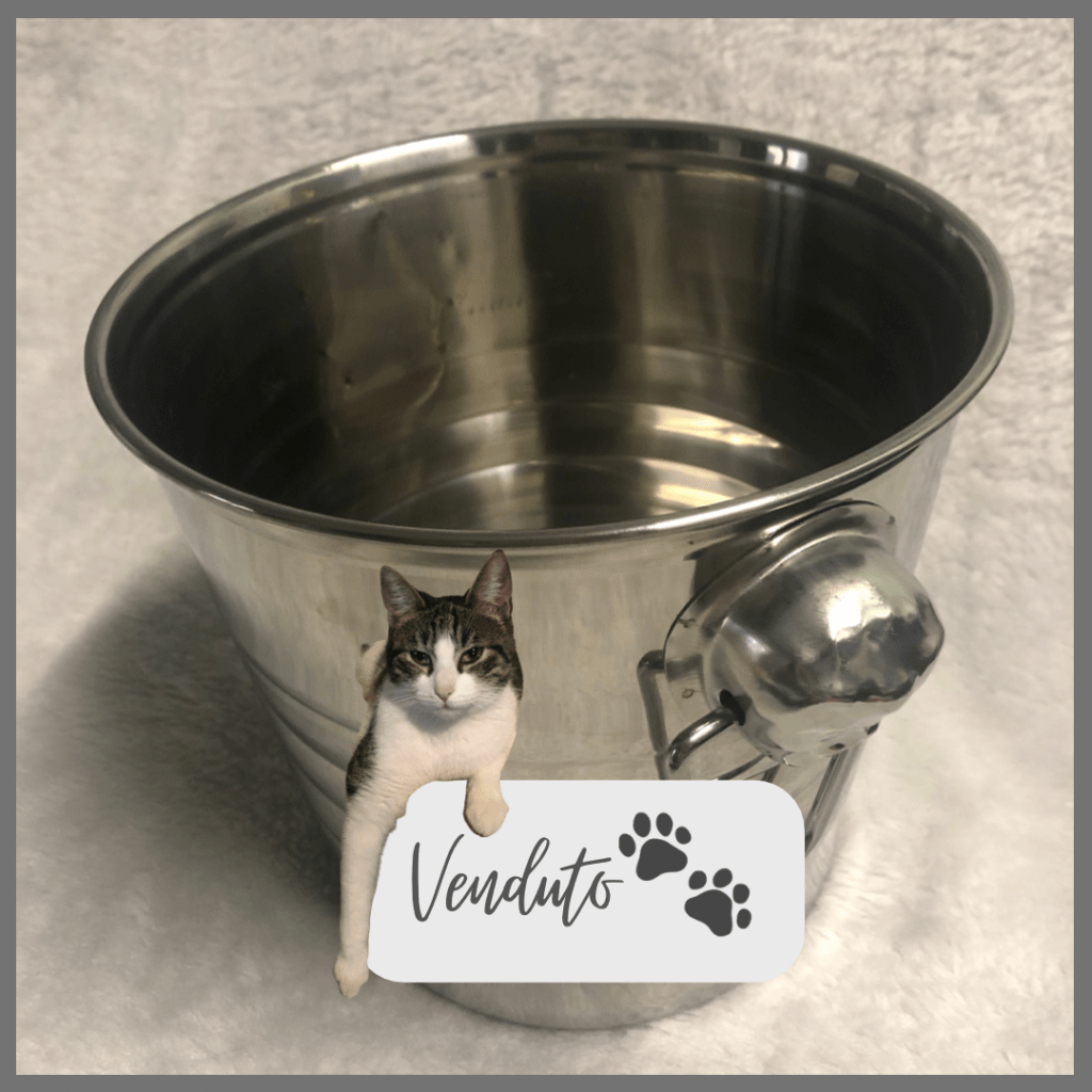 articoli per casa
Emporio di Miss Anita
Puntogray Shop