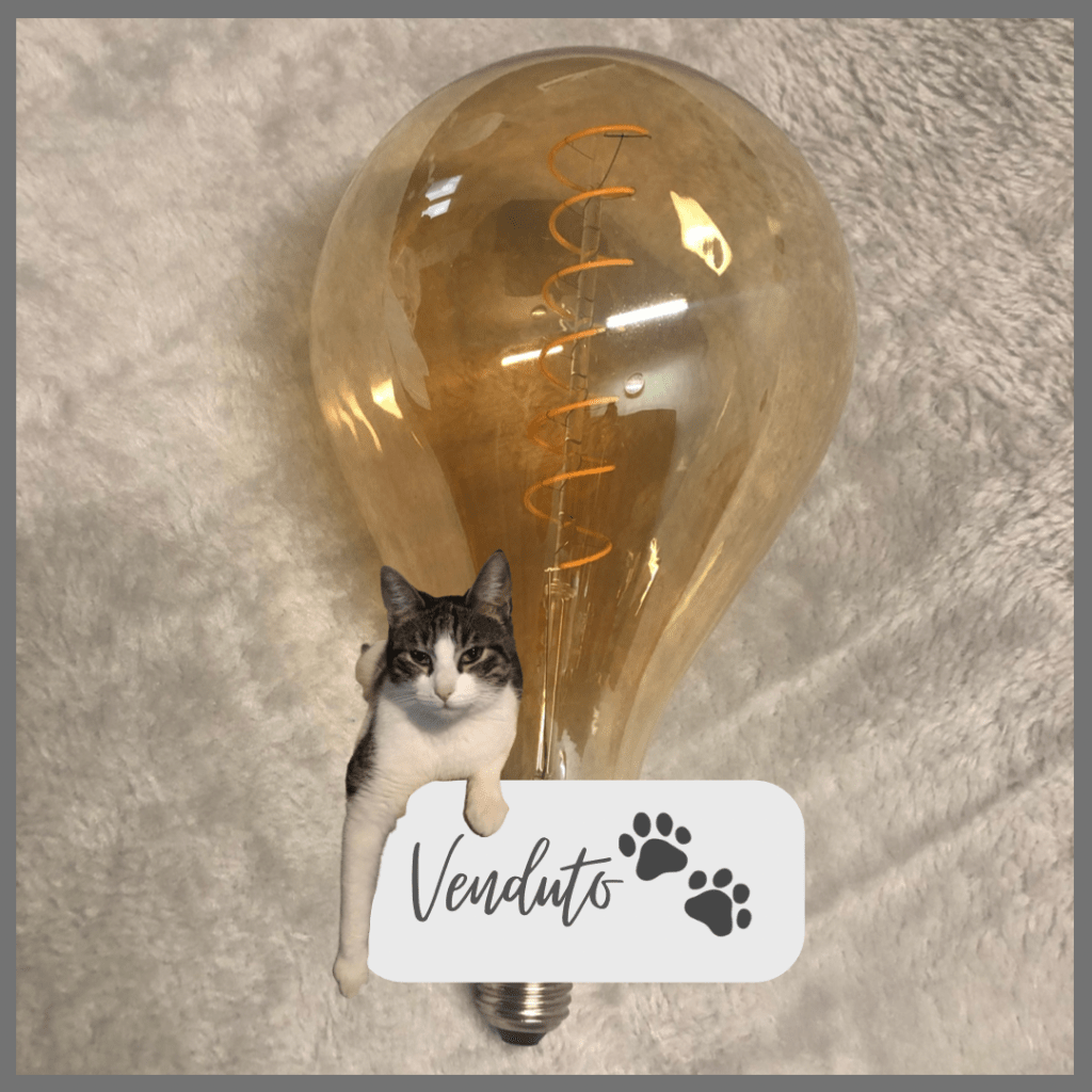 articoli per casa
Emporio di Miss Anita
Puntogray Shop