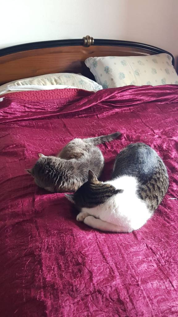 Emporio di Miss Anita
Puntogray Shop
