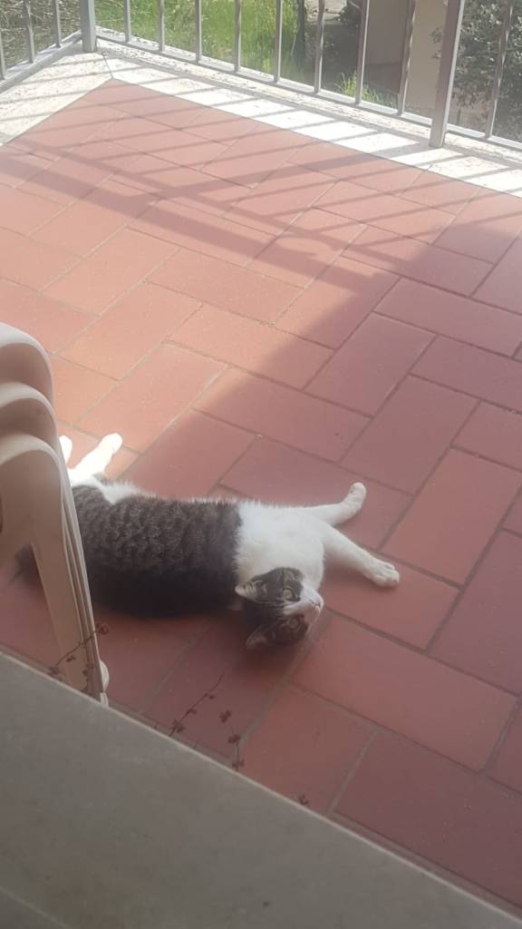 Anita 
Puntogray Shop
Emporio di miss Anita