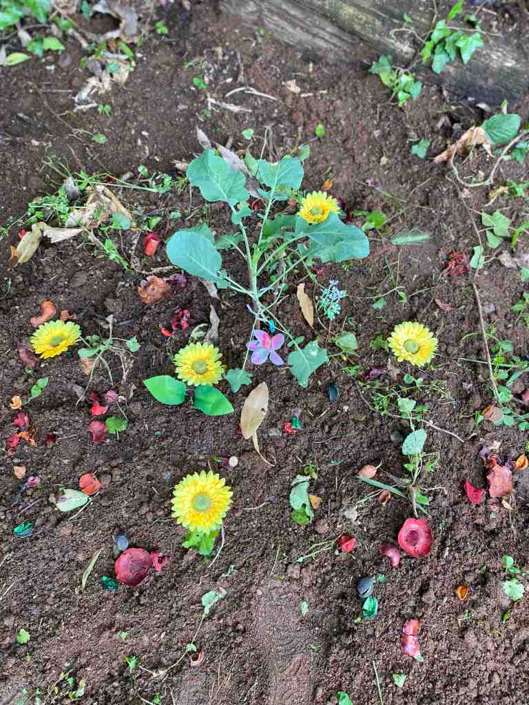 il mio amore
Gray
puntogray
l'amore
la natura
i fiori
