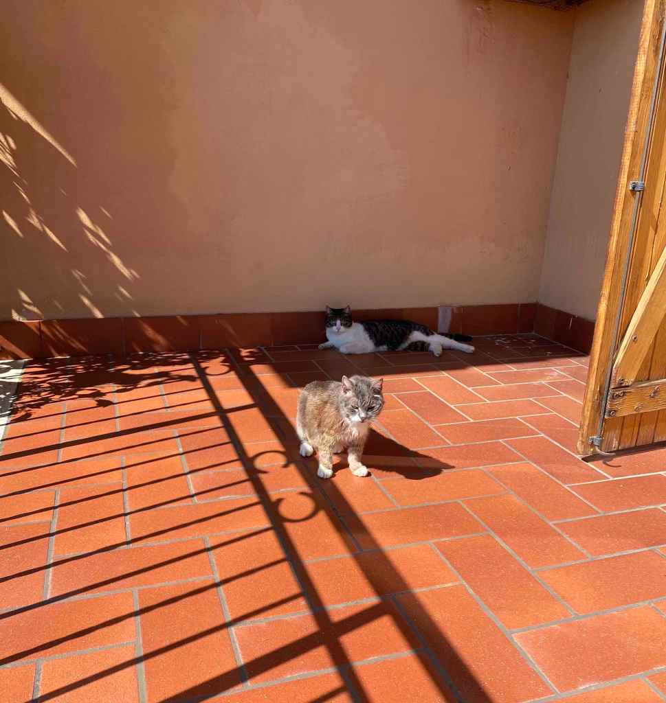 Gray e Anita
Puntogray