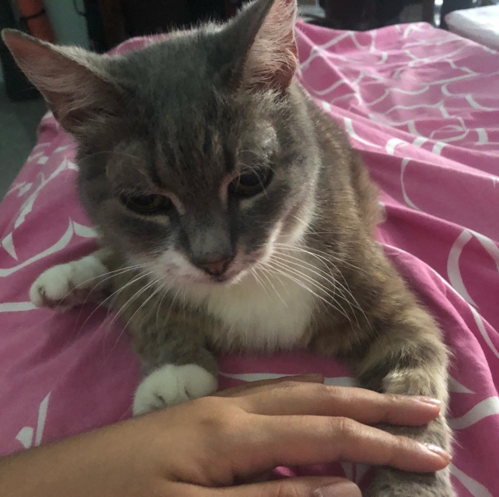 il mio amore
Gray
puntogray
l'amore