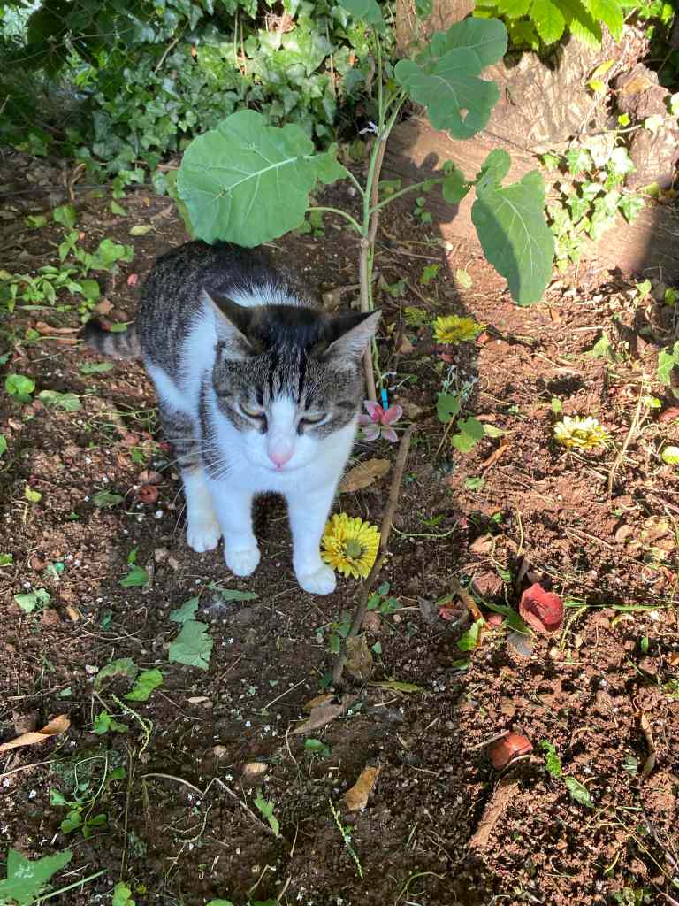 anita
giardino di Gray
puntogray
emporio di miss anita