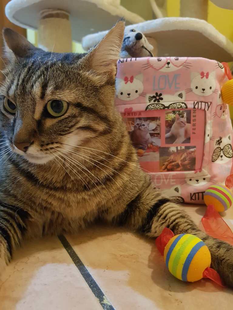 Puntogray
cestino personalizzato portatutto
Mercury
