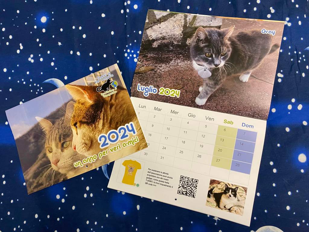 calendario 2024 
Gray
Puntogray