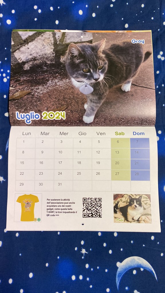 calendario 2024 
Gray
Puntogray