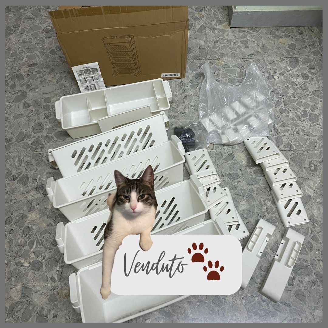 articoli per casa
Emporio di Miss Anita
Puntogray Shop