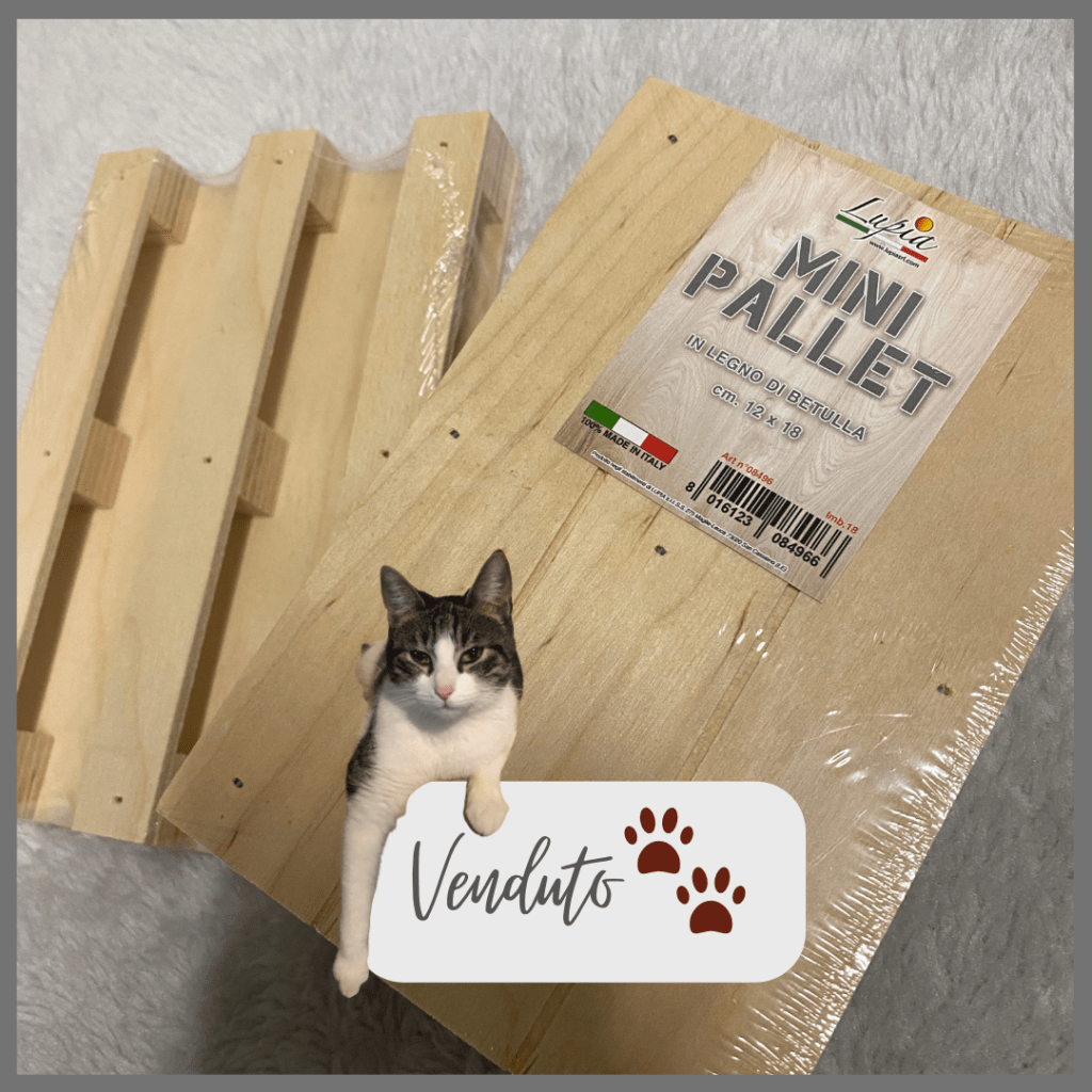 articoli per casa
Emporio di Miss Anita
Puntogray Shop