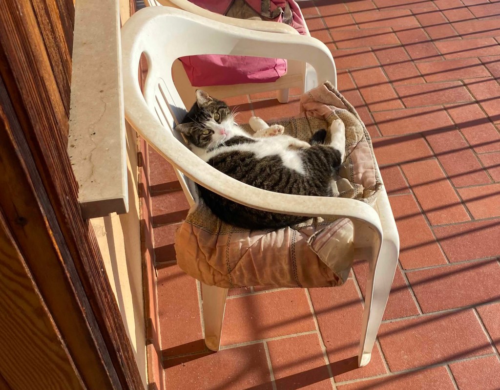 Anita
Emporio di Miss Anita
Puntogray