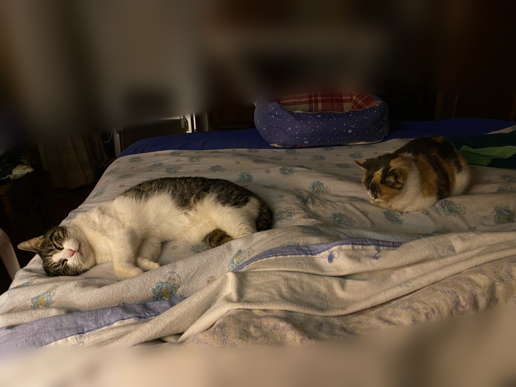 Anita
Trics
Emporio di Miss Anita
Puntogray