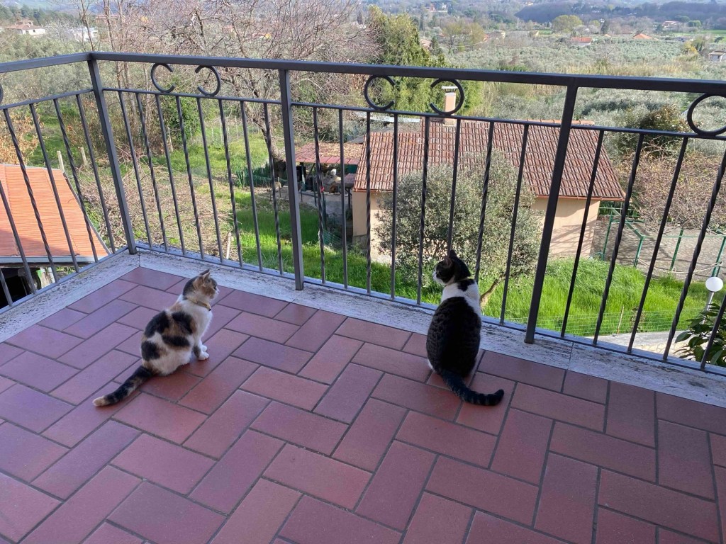 emporio di miss anita
puntogray
Trics
Anita