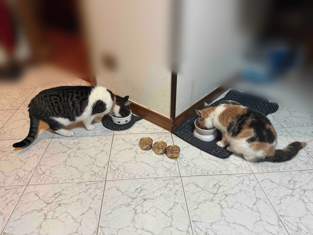 Anita
Trics
Puntogray Shop
Emporio di Miss Anita
Huvetrics