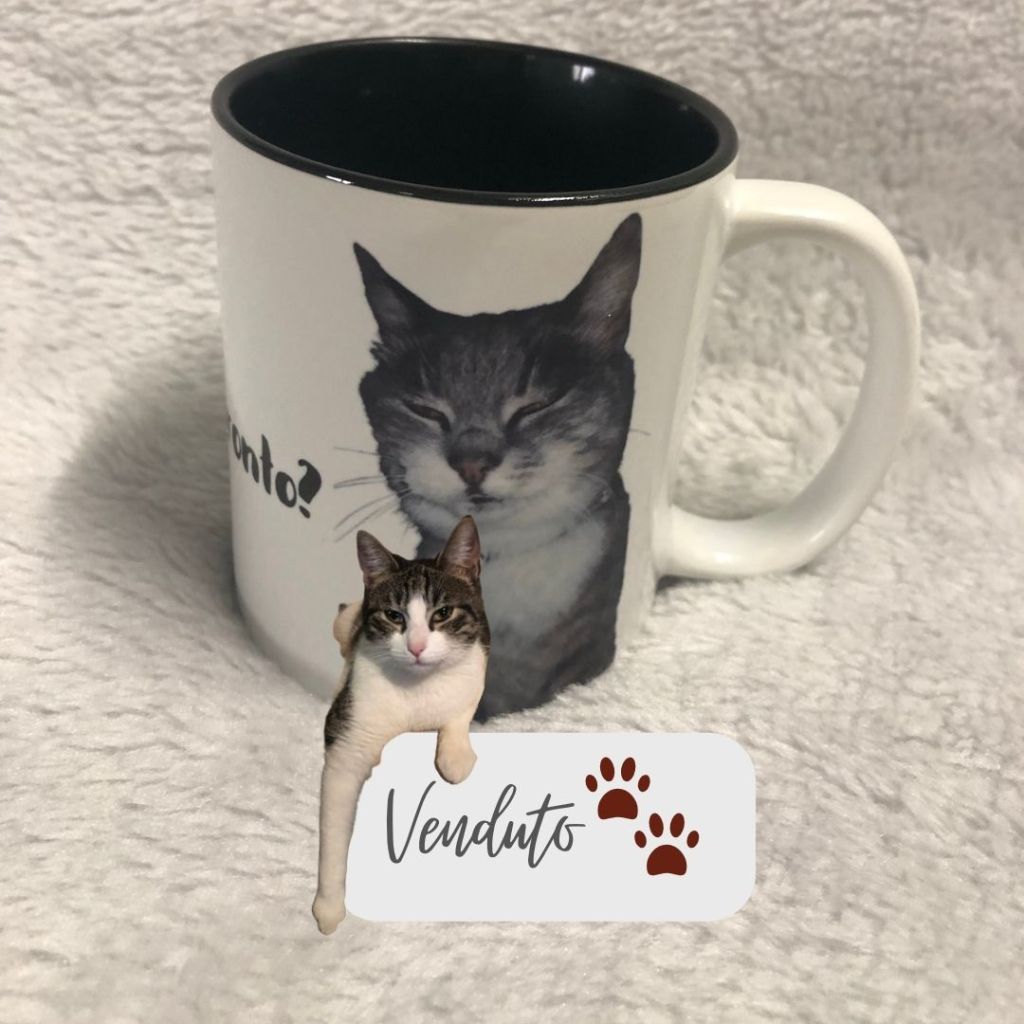 Tazza Gray
Emporio di miss Anita
Puntogray Shop