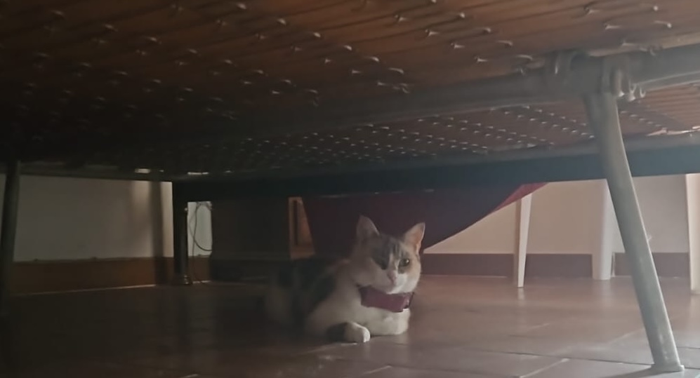 il caldo
Trics
puntogray shop
huvetrics